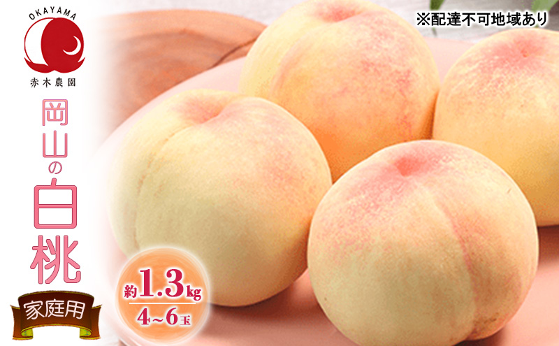 桃 2026年 先行予約 ご家庭用 岡山の白桃 約1.3kg 4～6玉 白桃 もも モモ フルーツ 果物 岡山県産 国産 赤木農園