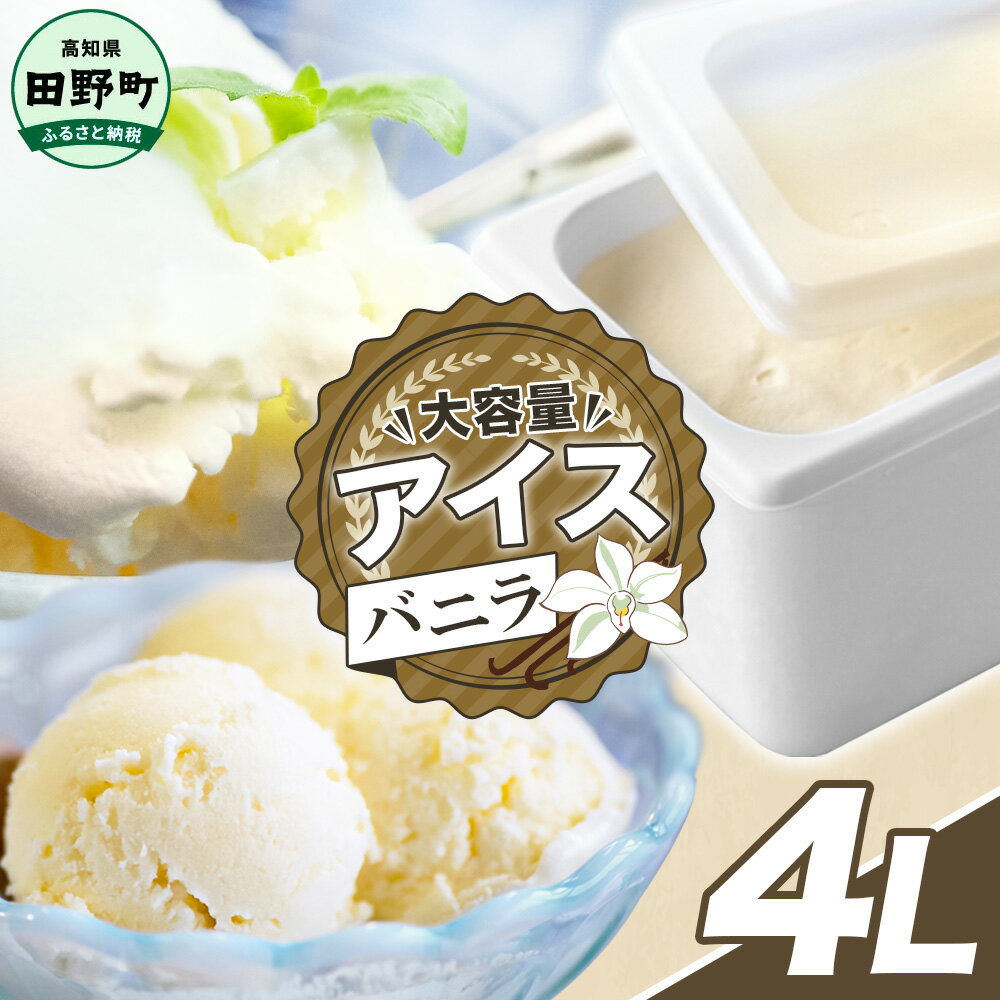 【ふるさと納税】四国一小さなまちのアイス屋さん バニラ アイスクリーム 大容量 アイス 4000ml 4L 業務用 4リットル デザート スイーツ お菓子 アイス ミルク 大容量 いっぱい 松崎冷菓 取り寄せ お取り寄せ 限定品 高知県 田野町 ふるさとのうぜい 故郷納税 ご当地 大量
