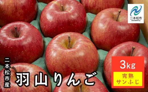 《2026年12月上旬以降順次発送》羽山りんご 完熟サンふじ 3kg りんご リンゴ 林檎 国産りんご フルーツ 果物 人気 ランキング おすすめ ギフト ふるさと 納税 福島 ふくしま 二本松市 送料無料【羽山果樹組合】