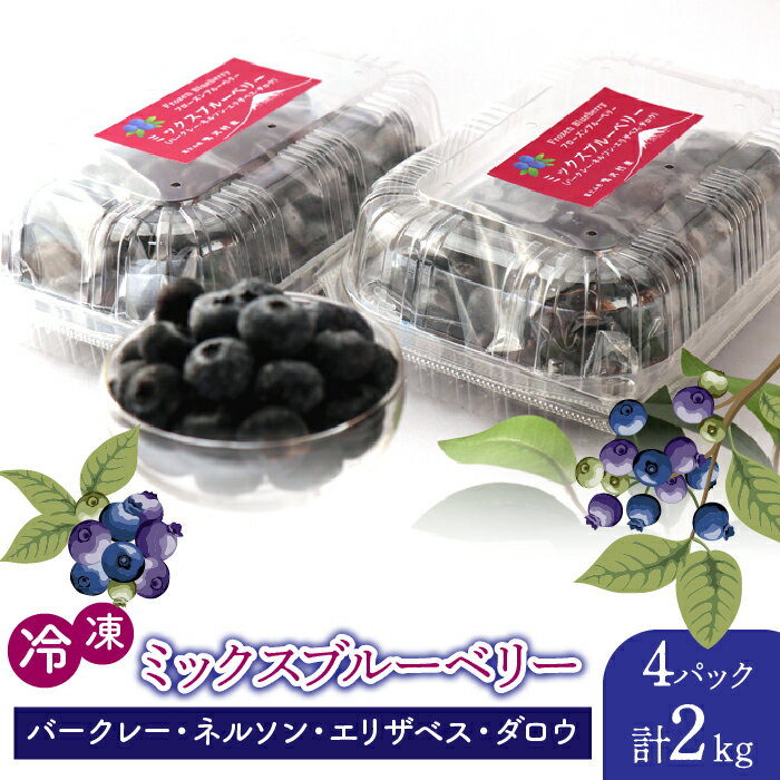 【ふるさと納税】鳴沢村産冷凍ミックスブルーベリー(バークレー・ネルソン・エリザベス・ダロウ）500g×4パック ふるさと納税 ブルーベリー ミックス 冷凍 スーパーフード ヨーグルト おいしい 山梨県 鳴沢村 送料無料 NSAL006