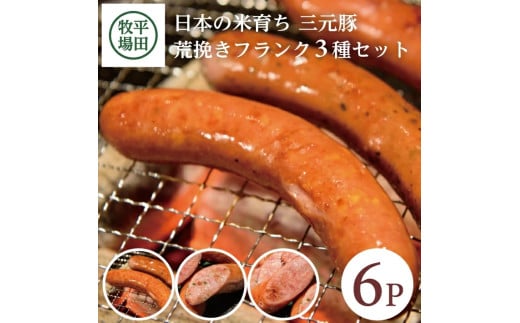 荒挽きフランク 3種 6パック 計720g プレーン チーズ にんにく 食べ比べ ソーセージ ウインナー 豚肉 三元豚ブランド豚 コラーゲン 無塩せき 加工肉 冷蔵 贈り物 贈答 ギフト 平牧 平田牧場 山形 酒田 SA1338