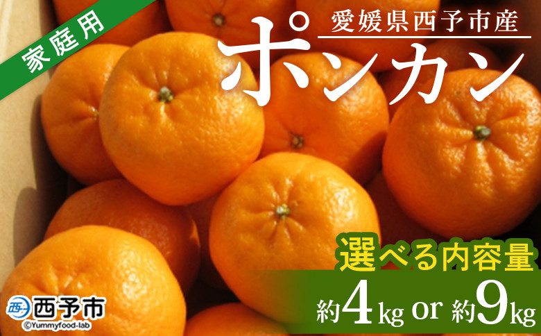 
            ＜愛媛県西予市産 ポンカン 約4kg／9kg 家庭用＞ 果物 くだもの みかん ミカン 柑橘 ぽんかん フルーツ 旬 おいしい 訳あり ワケアリ 自宅用 選べる 特産品 産地直送 段畑みかん 愛媛県 西予市【常温】『2026年1月中旬～2月上旬迄に順次出荷予定』
          