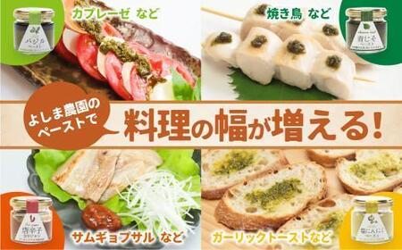 飛騨高山よしま農園 自然栽培調味料シリーズ バジル 青じそ ペースト 塩   調味料 飛騨高山 a582