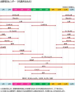 定期便 野菜 7～8品目 6回 南国土佐の新鮮お野菜 詰め合わせ お楽しみ セット 詰め合わせ 季節 新鮮 産地直送 高知県 須崎市