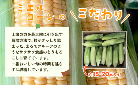 【 訳あり 】下妻産 朝採り とうもろこし （ ミエルコーン ） 約6kg 【 とうもろこし とうきび トウモロコシ ジューシー 甘い 蜂蜜 はちみつ ミエル Miel スイーツ デザート ミエルコー