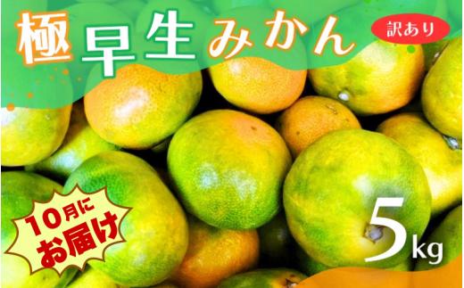 【2026年秋頃発送予約分】【訳あり】こだわりの極早生みかん 約5kg ※2026年10月上旬より順次発送予定（お届け日指定不可） 有機質肥料100% サイズ混合 有田産【nuk165B】