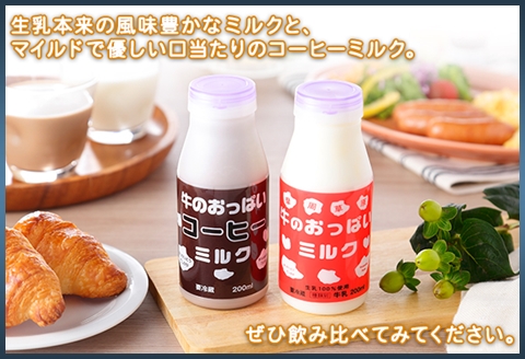 787.牛のおっぱいミルク 5本 コーヒー 5本 計10本 飲み比べ セット 牛乳 生乳 ミルク 飲料 しぼりたて コーヒー 珈琲 お取り寄せ ギフト gift 渡辺体験牧場 まとめ 北海道 弟子屈町