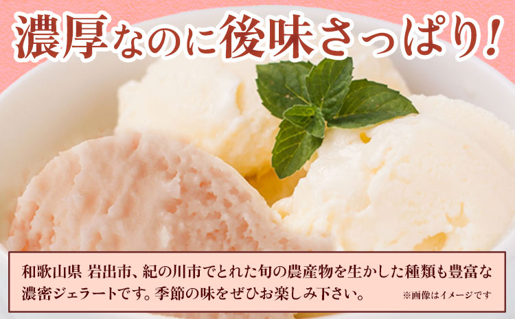 季節のジェラート 6種セット （ミルク・桃+ランダム4種）《30日以内に出荷予定(土日祝除く)》和歌山県 紀の川市 JA紀の里 紀の里農業協同組合 ジェラート アイス デザート カップアイス