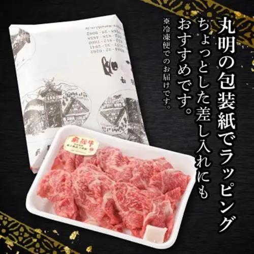【ふるなびWEEK対象】【訳あり】飛騨牛5等級　切り落とし用途いろいろ　500g【配送不可地域：離島】【1034745】