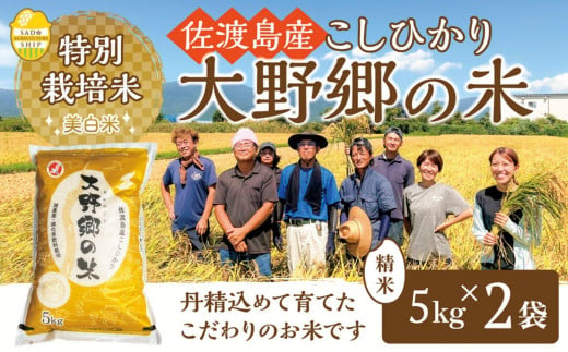 【令和６年産新米】佐渡島産 特別栽培米こしひかり「大野郷の米」精米5kg×2袋