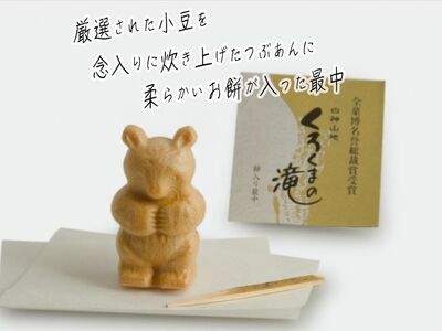 お菓子工房たつや 餅入りつぶあん最中 くろくまの滝10個 和菓子 もなか 