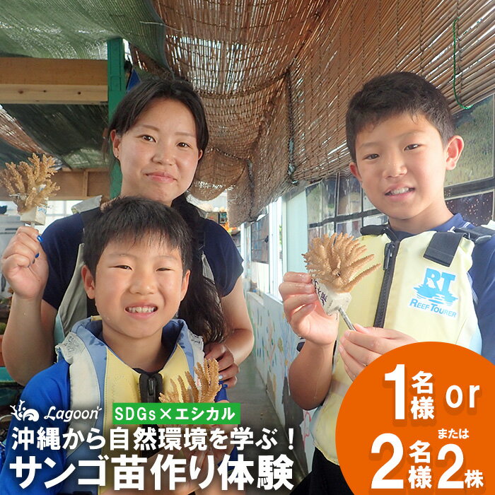 【ふるさと納税】チケット サンゴ苗作り体験 ｜ 「1名」「2名または1名×2株」沖縄サンゴの村【恩納村ラグーン】 | 券 チケット ダイビング 体験 アクティビティ リゾート ふるさと納税 万座 恩納村 沖縄人気 おすすめ 送料無料