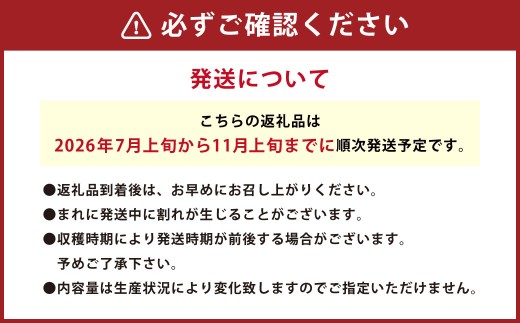 音楽を聴いて育ったプチぷよ 一粒万倍 黒／赤BOX【30粒or42粒】【2026年7月上旬-11月上旬発送予定】