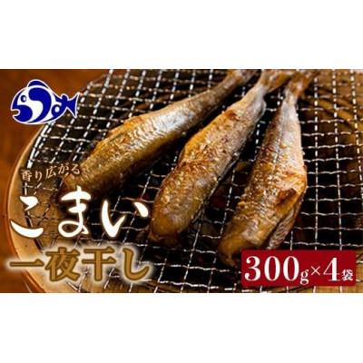ふるさと納税 羅臼町 こまい一夜干し(1)300g×4袋【北海道羅臼町】