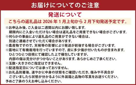 【先行受付】 特別栽培ポンカン 8kg サイズミックス ポンカン みかん フルーツ 柑橘 ジューシー 果物 天草 【2026年1月上旬から2月下旬発送開始】