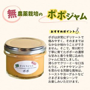 ポポジャム＆季節のジャムの詰合せ　古民家カフェ 鍵屋 ポポジャム 季節のジャム 手作り 詰め合わせ フルーツ セット 無添加 無農薬 果物 くだもの 山梨 早川町