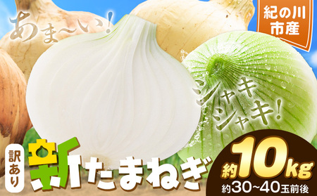 訳あり たまねぎ  約10kg 不選別《5月下旬-7月中旬頃出荷》玉ねぎ 玉ねぎ 玉ねぎ玉ねぎ 玉ねぎ