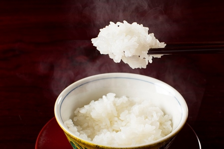 【令和7年産 新米予約】【高級】南魚沼塩沢産こしひかり5kg(無洗米)【令和7年10月中旬以降発送】【米 お米 こしひかり 南魚沼 米 無洗米 こめ 新潟 米】