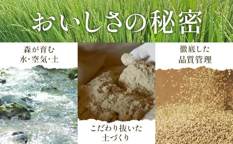 令和7年産 ゆめぴりか 10kg 5kg×2袋 田中農園 北海道