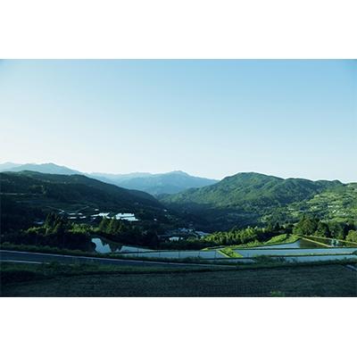 ふるさと納税 土佐市 【土佐野菜】旬の野菜の詰め合わせと栽培期間中に農薬不使用の生姜200g付き【土佐市】 |  | 01