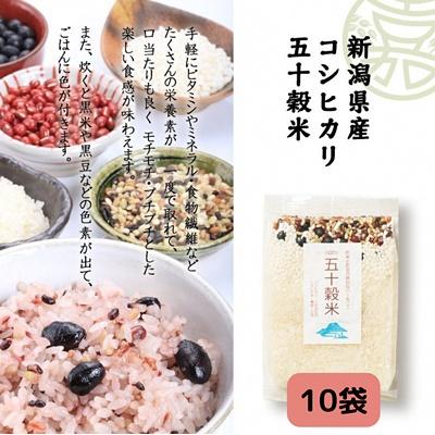 ふるさと納税 阿賀野市 GOZU 五十穀米 10袋セット