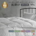 【ふるさと納税】kokiku シングル 羽毛布団【肌掛け（ダウンケット）】ハンガリーマザーホワイトグース ダウン95％　|| 羽毛布団 シングル 肌掛け（ダウンケット） ハンガリーマザーグース GIZAコットン 冬 睡眠の質 綿100％