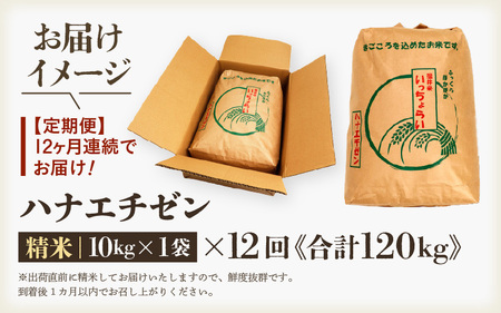 【先行予約】【令和7年産・新米】【一等米】＜定期便12回＞ ハナエチゼン 精米 10kg × 12回（120kg）《発送直前精米！》《発送直前精米！》 ／ ブランド米 華越前 ご飯 お米 白米 新鮮 
