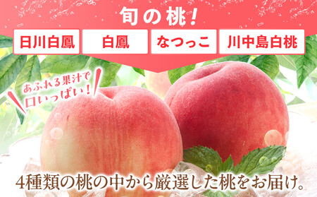 桃 極上秀品 約2kg 6～9個入【先行予約】【2024年6月中旬頃から発送】【KG2】