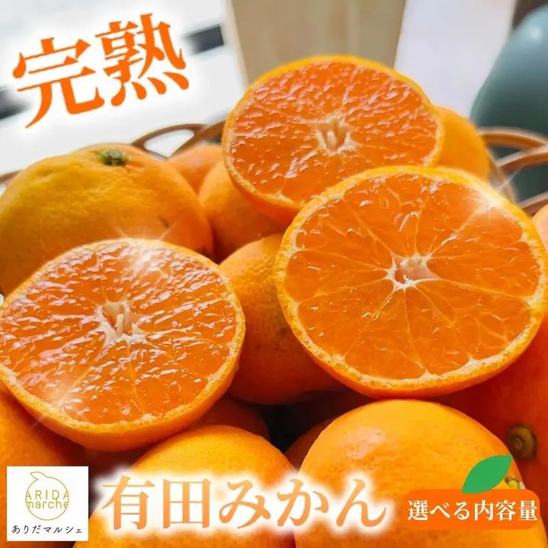 【訳あり・ご家庭用】【果汁たっぷり】迫力満点 大粒 有田みかん サイズ混合(2L～4L)　約5.2kg(5kg+200g)【2026年11月中旬～1月中旬頃に順次発送予定】【AA-ard225A】