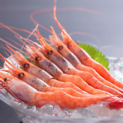 お刺身用甘えび500g(Mサイズ44匹前後)【配送不可地域:離島】