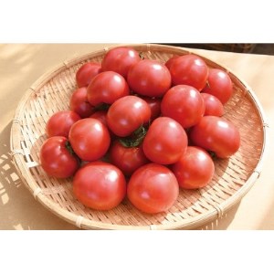 栗田温室農園の王様トマト(4kg箱)農林水産大臣賞受賞!【配送不可地域：離島・沖縄県】【1343319】