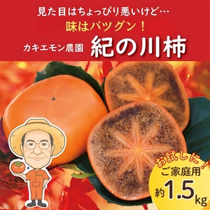 お試しに！【ご家庭用】紀の川柿 約1.5kg カキエモン農園 【2025年10月中旬～11月中旬頃順次発送】/ 和歌山県 かつらぎ町 果物 くだもの フルーツ 柿 かき 和歌山 人気 送料無料【BX-kkem008】