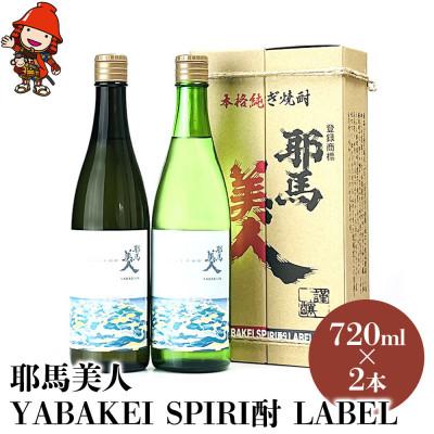 ふるさと納税 中津市 【耶馬渓限定】 耶馬美人「YABAKEI SPIRI酎 LABEL」