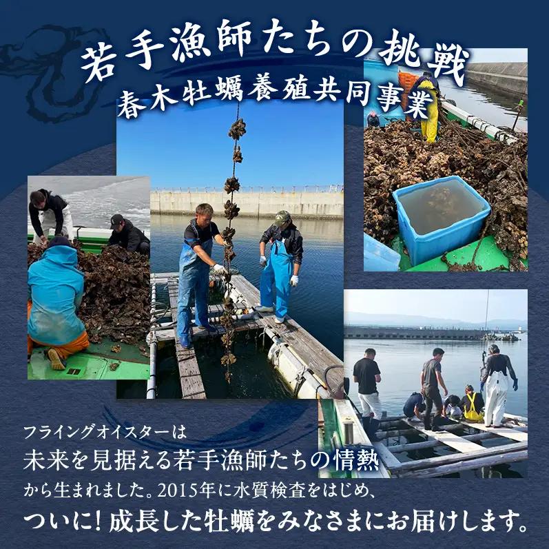 牡蠣 殻付き 5kg 加熱用 先行予約 生 牡蠣