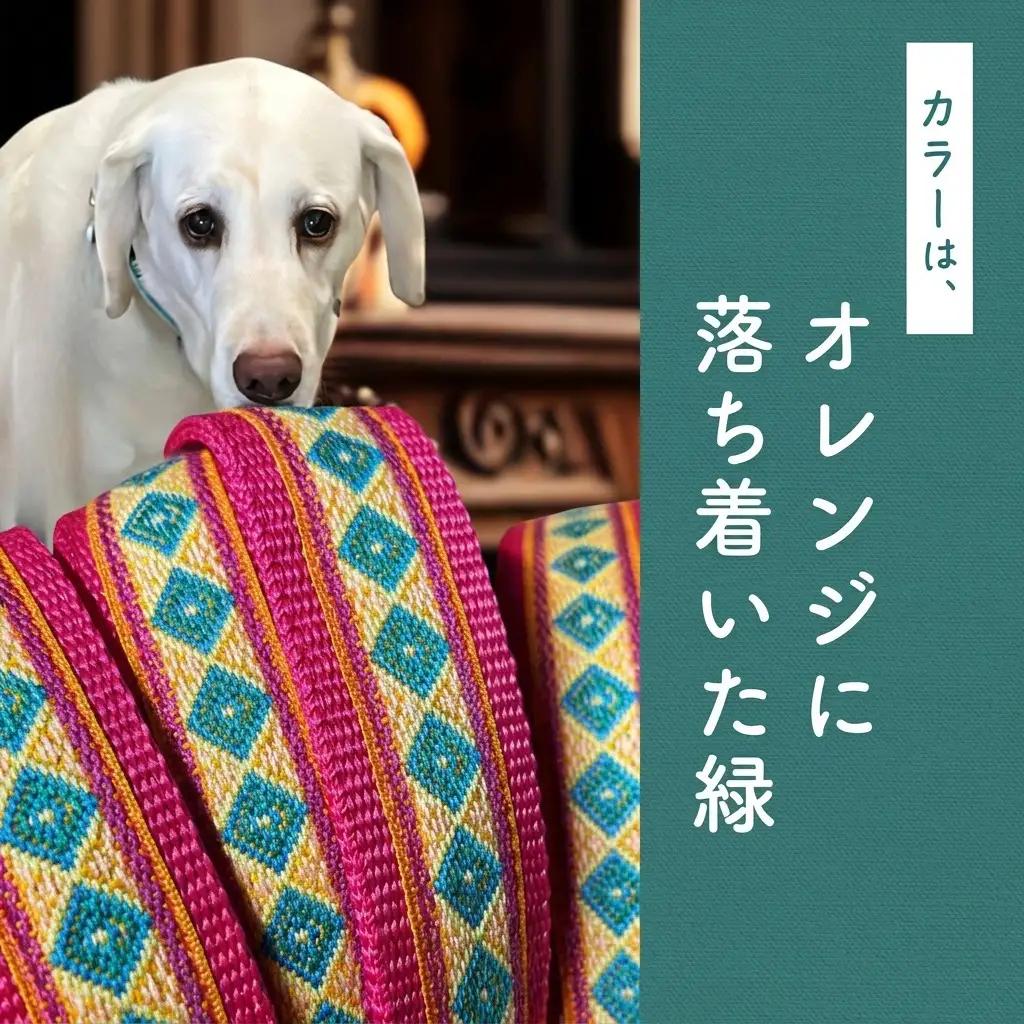【大型犬用・Lサイズ】 ハーフチョークカラーとリードのセット（オレンジに落ち着いた緑） ペット用品 首輪 リード 大型犬 レトリバー ペット 犬 ワンちゃん セット 浜松市
