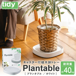 tidy ティディ Plantable（キャスター付植木鉢トレイ）【ホワイト】012EB06N.／台 観葉植物 トレイ プランター 受け皿 受皿 鉢皿 らくらく移動 可動式 軽量 ガーデニング リビング オフィス 玄関 掃除用品 掃除 お掃除 日用品 インテリア 雑貨 おしゃれ