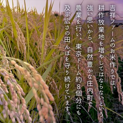 ふるさと納税 庄内町 【6か月定期便!】庄内米 吉祥ファーム つや姫 4kg<5月中旬発送>ブランド米 米 お米の定期便 |  | 02