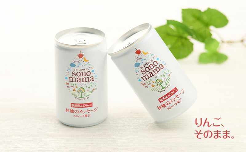 《 定期便 6ヵ月 》 りんごジュース「sonomama」（160g×5本）×1箱 りんご リンゴ ジュース リンゴジュース 飲料