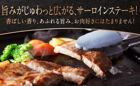 なんじょう和牛サーロインステーキ 約150〜200g×3枚【TM02】