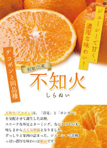 ＜先行予約＞家庭用不知火5kg+250g（傷み補償分）＜2月より発送＞ デコポンと同品種 人気の春みかん 光センサー食頃出荷 訳あり わけあり みかん 果物 フルーツ デコポン【ikd163C】