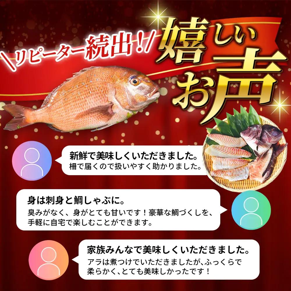 鯛 新姫熊野鯛 お刺身用短冊 アラ付き 冷蔵【mzsi0003-1】