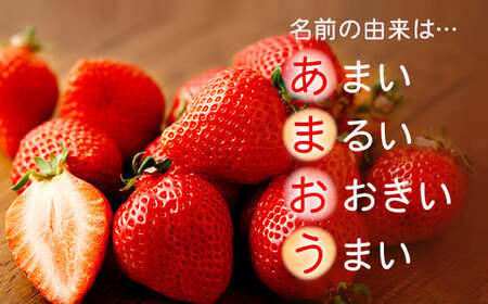 【アフター保証】うるう農園 あまおう DX等級 2パック （約570g）【2024年12月上旬～2025年1月下旬発送予定】 いちご イチゴ 苺 フルーツ 果物