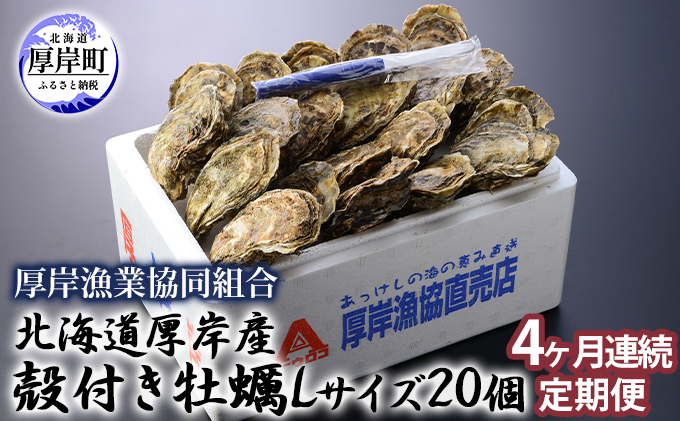 【ANA限定】 定期便 4ヶ月 北海道 厚岸産 牡蠣 Lサイズ 20個 (各回20個×4ヶ月分,合計80個) 殻付き 生食 カキナイフ付き かき カキ