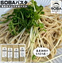 【ふるさと納税】SOBAパスタ250g（二人前） 【選べる個数 2人前×4袋 or 8袋】【24-013-031・24-021-005】食LABO 鳥取の名産物である大山ソバ使用 蕎麦 ソバ 麺 そば粉 お取り寄せ 鳥取県 米子市