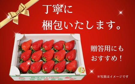 いちご やよいひめ 約450g～500g 12～15粒 【1月下旬～4月下旬頃に順次出荷予定】 いちご 