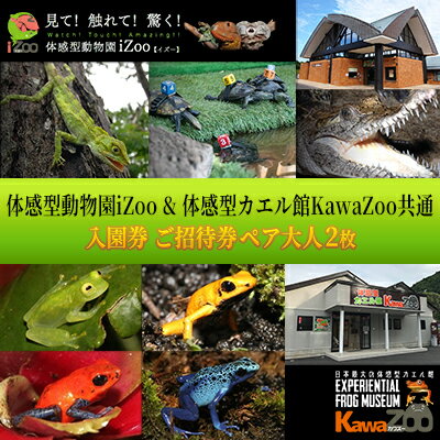 【ふるさと納税】動物園 静岡 イズー カワズー 大人 2枚 入場券 ペア ペアチケット セット 動物 カエル 爬虫類 観光 お出かけ チケット 券 ギフト券 体験チケット ギフト プレゼント 贈答 贈答品 贈り物 旅行 観光 入園券 バナナワニ園 バガテル公園 静岡県 河津 河津町