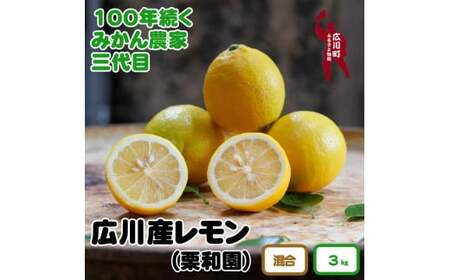 ▼和歌山県有田産 レモン 約 3kg ※2月上旬頃〜3月中旬頃に順次発送予定 【krw040-r-3】