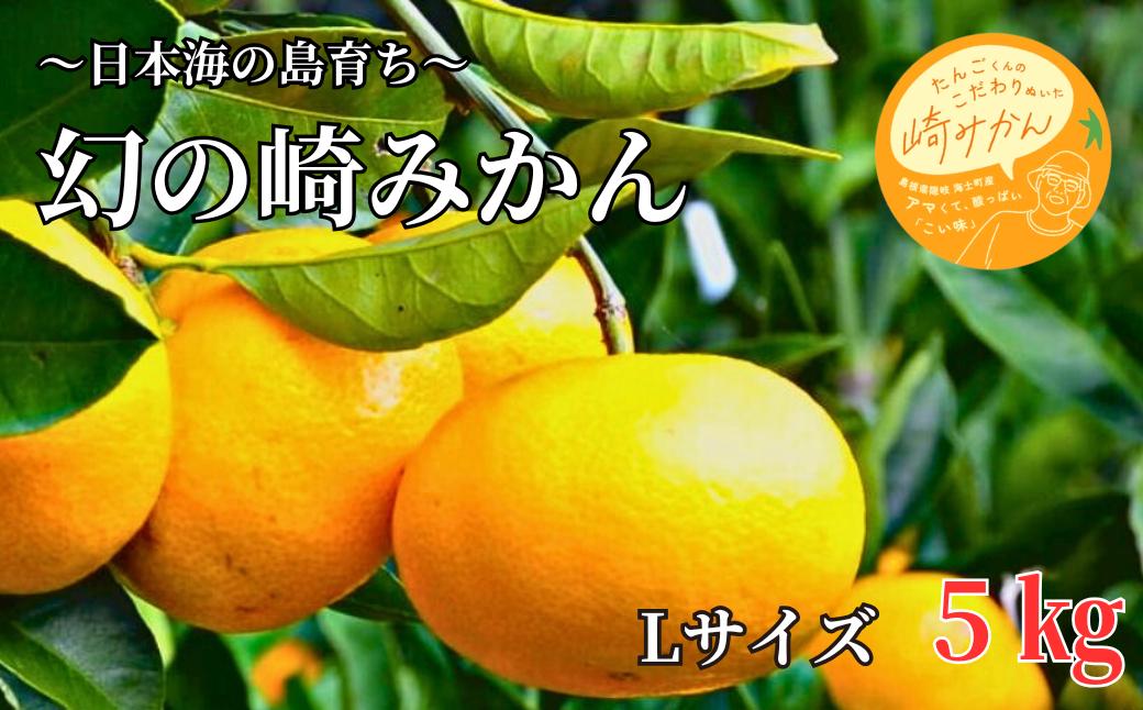 
            【期間限定】崎地区の崎みかん Lサイズ 5kg  期間限定 11月中旬より発送開始
          