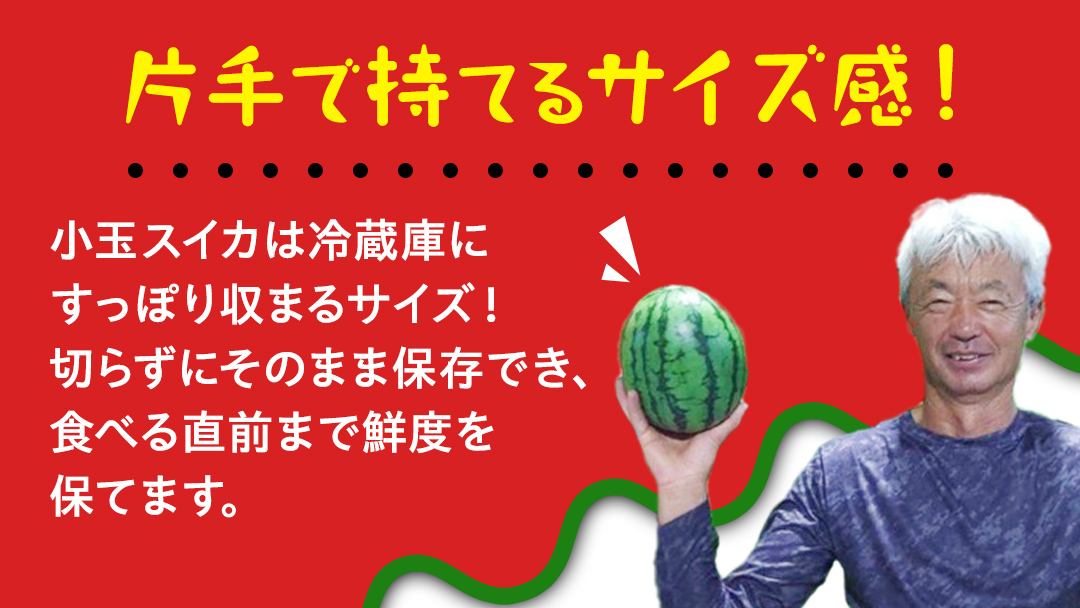 《 先行予約 》 小玉 スイカ スウィートキッズ 2玉 セット 小玉スイカ すいか 西瓜 こだますいか フルーツ 果物 くだもの 農家直送 旬 甘い ギフト 人気 産直 【2025年5月下旬より発送開