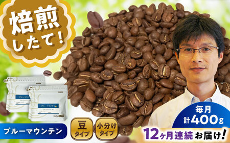 【全12回定期便】ブルーマウンテンNo.1　コーヒー豆　200g×2個(豆)  / コーヒー  ドリップ  豆 / Coffee SAKURA[BBAB032]